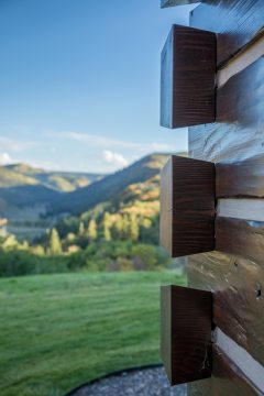 SCHRYVER2018_LG-26