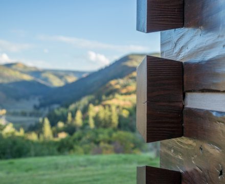 SCHRYVER2018_LG-26