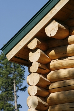 Stagecoach Log Cabin - Fraser, CO