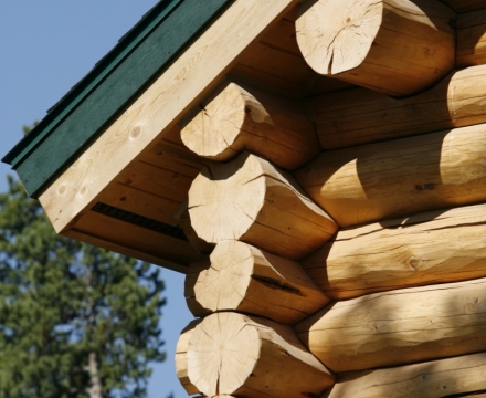 Stagecoach Log Cabin - Fraser, CO