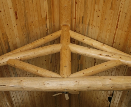 Stagecoach Log Cabin - Fraser, CO