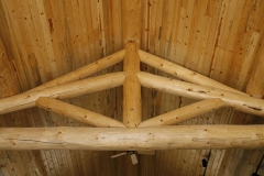 Stagecoach Log Cabin - Fraser, CO